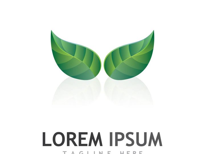 Natural green leaf logo design.