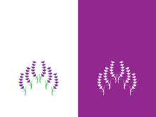 Fresh lavender flower logo vector flat design