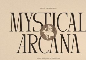 Arnnelo | Modern Display Serif