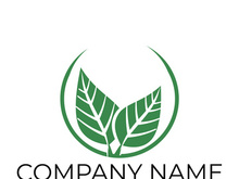 Green leaf logo design vector illustration