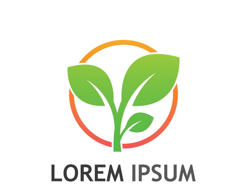 Natural green leaf logo design.