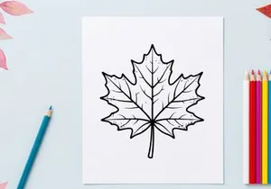 Ilustração detalhada de folha de bordo. Desenho botânico artístico para projetos de design