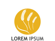 Organic wheat farm logo template.