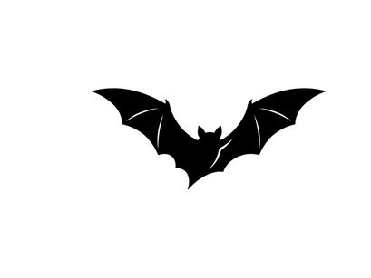 Silhouette of a Bat Flying with Spread Wings in Dark Night Scene