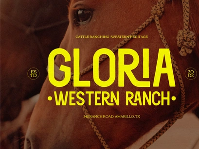 Herald Town | Vintage Sans Serif