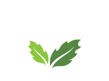 Green leaf ecology nature element vector icon
