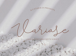 Variose - Luxe Signature Font Script preview picture