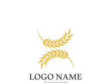 Wheat logo vector icon illustration design