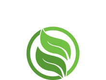 Logos of green tree leaf ecology nature element vector