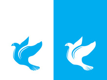 Dove bird logo vector design illustration