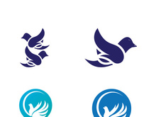 Dove bird logo vector design illustration