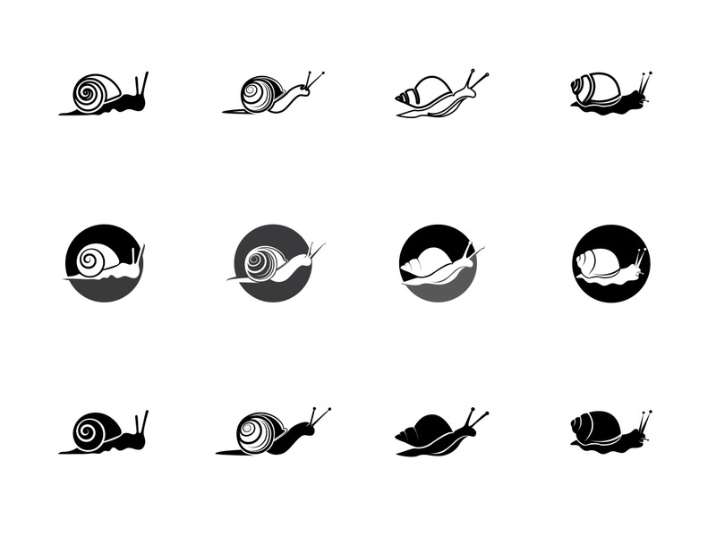 snail animal logo and symbol template