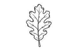 Minimalist leaf illustration for eco-friendly branding. Elegant botanical design for nature-inspired projects.
