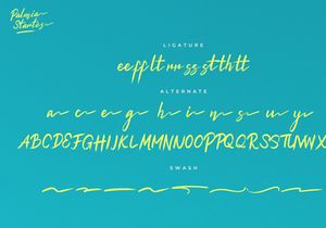 Palmia Startos | Retro Brush Script