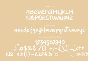 Quintero Script Font