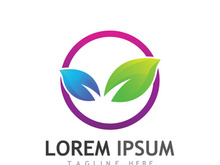 Colorful natural leaf logo design.