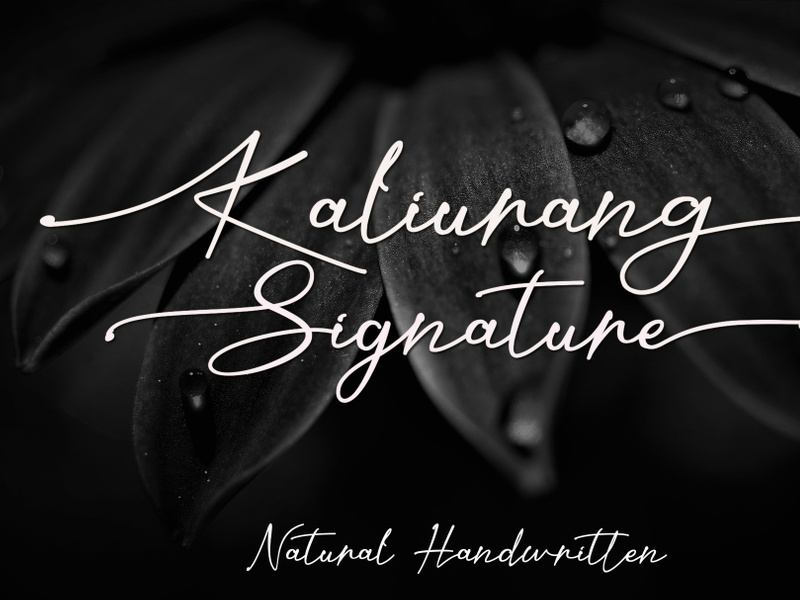 Kaliurang Signature - Handwritten Script