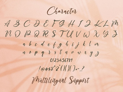 The Austin - Handwritten Script Font