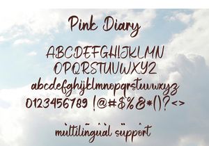 Pink Diary