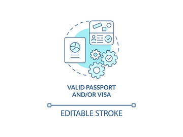 Valid passport and visa concept icon preview picture