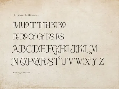 Rinovich | Display Serif Font