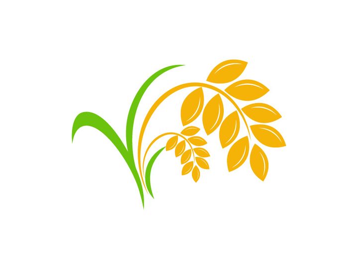 Agriculture wheat rice icon illustration