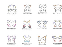 Butterfly Logo Design, Beautiful Flying Animal