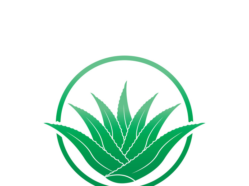 Aloe Vera logo icon design symbol beauty skin care