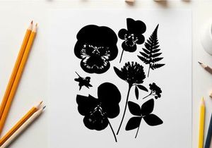 Silhouette of various flowers and leaves on white background