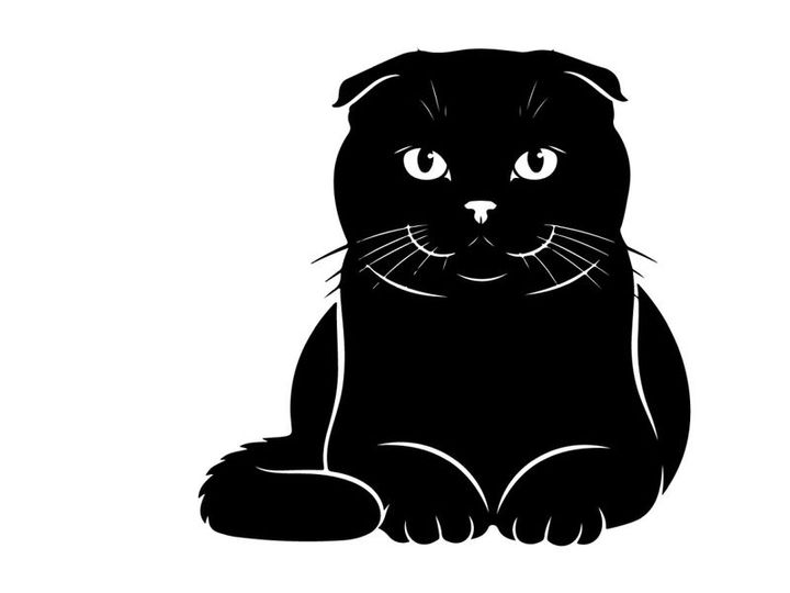 Black cat silhouette portrait with whiskers and piercing eyes