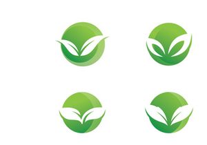 Green leaf logo design template modern leaf logo vector