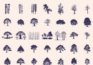 Silhouettes Trees Set, Pine Tree fir pruce cedar white patch alder elm birch ash cypress beech palm tree.