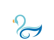 Swan logo Premium and symbol Vector