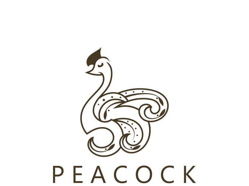 Peacock logo line art elegant concept icon design template flat vector illustration