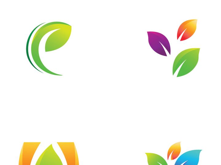 Colorful natural leaf logo design.