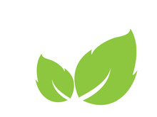 Leaf logo vector icon design template