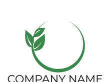 Green leaf logo design vector illustration