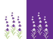 Fresh lavender flower logo vector flat design