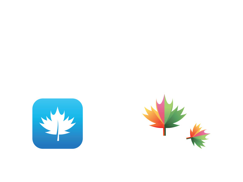 Maple leaf logo design with creative idea