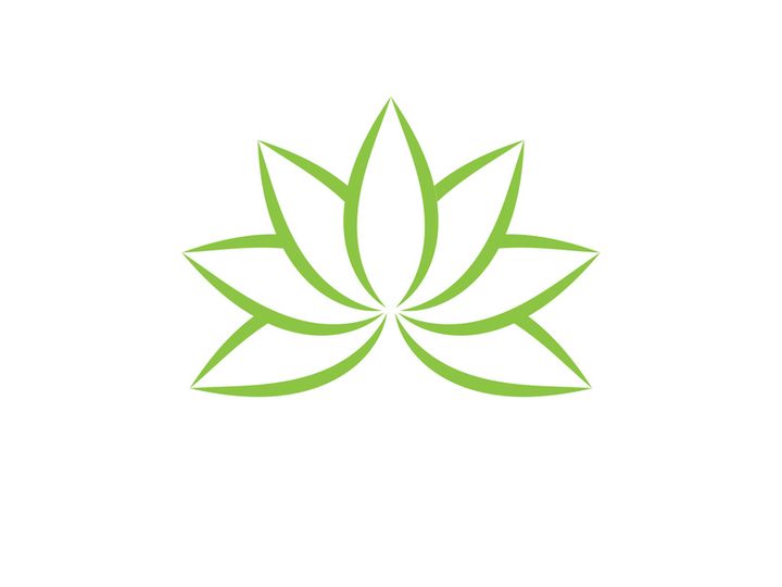 Vegan leaf green eco logo nature