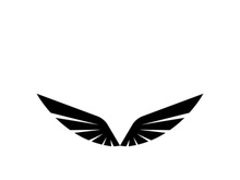 Wing illustration logo and symbol vector