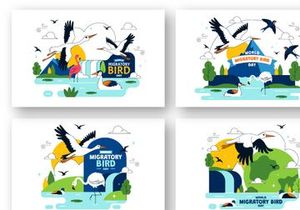 10 World Migratory Bird Day Illustration