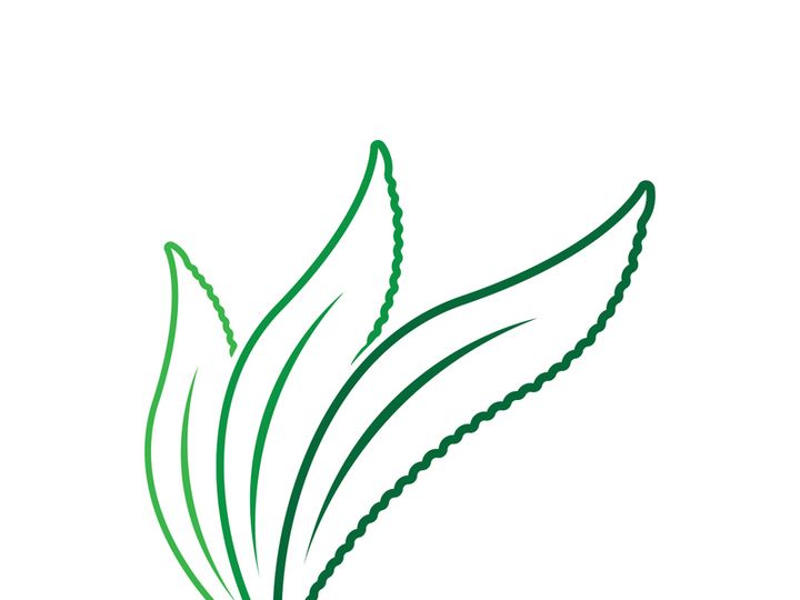 Aloe Vera logo icon design symbol beauty skin care