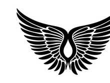 black bird wing logo vector