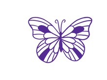 Butterfly, SVG Vector Illustration