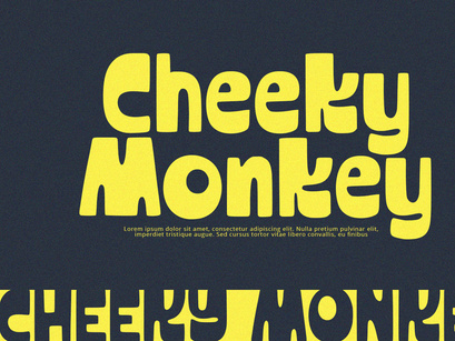 TinyTigra - Display Font