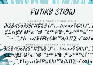 Funky Snow