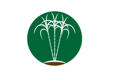 Sugarcane logo vectcr
