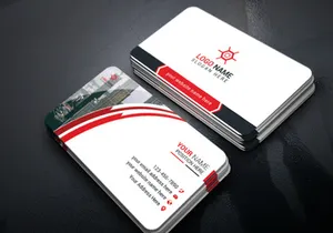 Professional Business Card Design Template