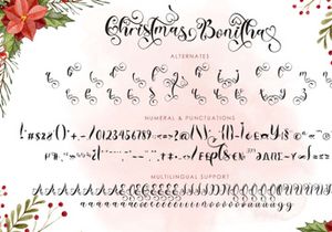 Christmas Bonitha